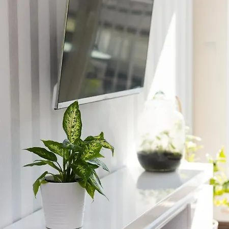 Bright With Balcony By Renters * Warsaw